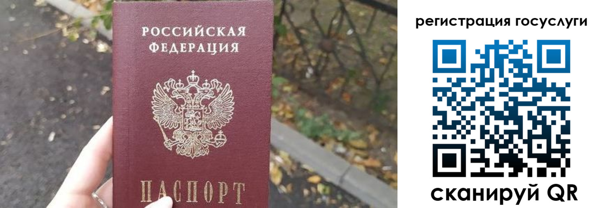 купить прописку в Владимирской области